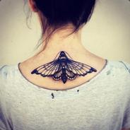 flyingCockroach