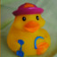 Duck wit a hat