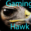 Gaming Hawk