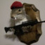 Chipmunk With A Gun