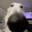 bluejellogames