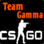 [TeamGamma] RAID