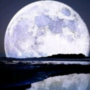 永远不会再爱了