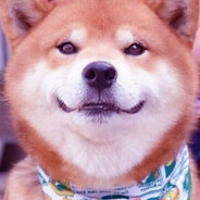 猛戳瞎子另一只好眼