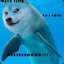 Dolphin doge