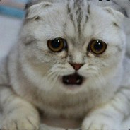 ♡Кирюша♡csgetto.cc