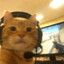 SaNyA_ChEkUsHkA