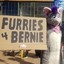 ♥Furries for bernie♥