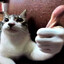 GoodBro