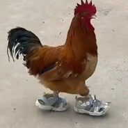 Петух в сандалях