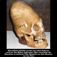 T☣e-❄FRESH❄-☢Ne