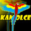 Kamil Stoch  :&gt;}