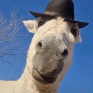 我果然有惊世智慧