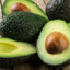 palta