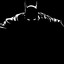 BATBOI