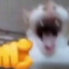 damipl CSGOSKINS