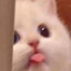 靖JingCc