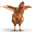 GeneralChicken1995