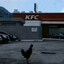 Kentucky Fried N