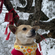 海纳百川-有容乃大