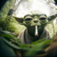 yoda