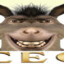 chember-member
