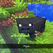 piggaeiei