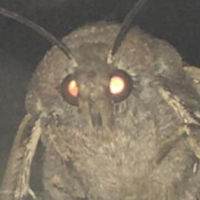 SEEKER ÖF THE FORBIDDEN LÄMP - steam id 76561197960486909