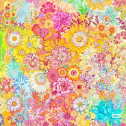 ---下等马分界线--