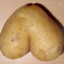 Tater Tits