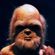 A Bald Wookiee