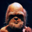 A Bald Wookiee