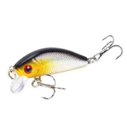 The Bait