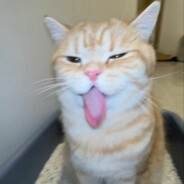 稳步脚踏实地人生路