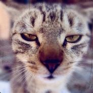 我是你哎呦哥哥