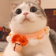 小唐想过平静的生活