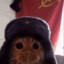 Cat in Soviet Hat