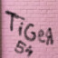 Tiger54