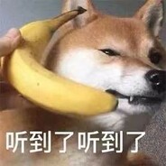 来白嫖个共享大狙