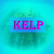 Kelp