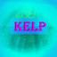 Kelp