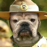 邓紫棋绯闻男友