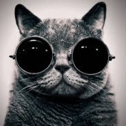 Кот-Пидормот