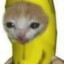 BananaCat