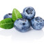 BLUEBERRY