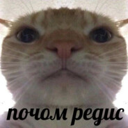 zxcscoorly🇺🇸🇷🇺🇯🇵 avatar