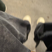 нитромопс винтед