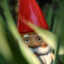 gnome