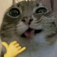 mich4l avatar