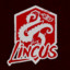 Lincus